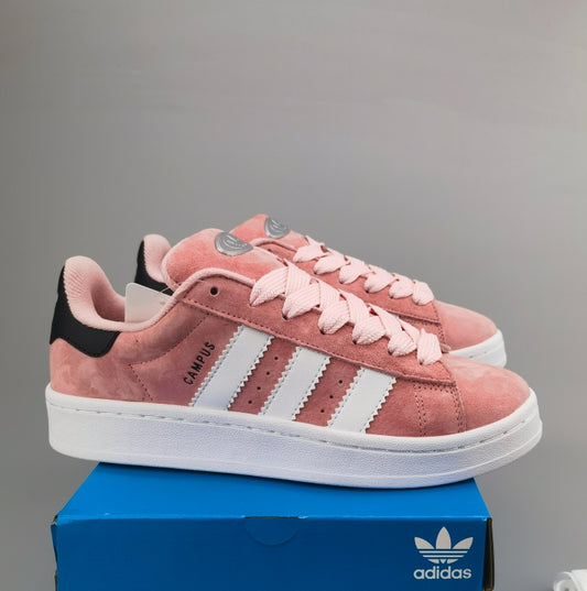Adidas originals Campus
