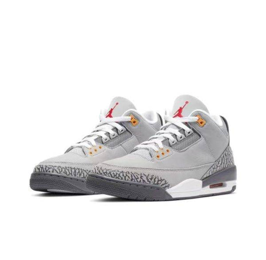 Air Jordan 3 Retro Grigio Freddo (2021)