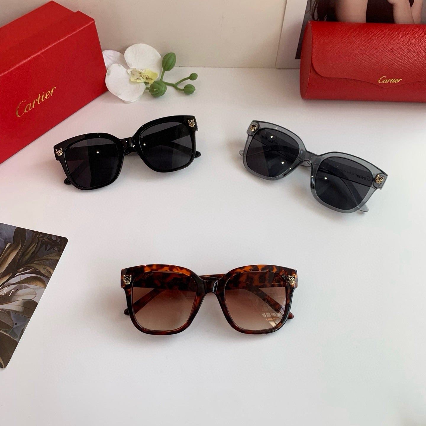 cartier CT0143S