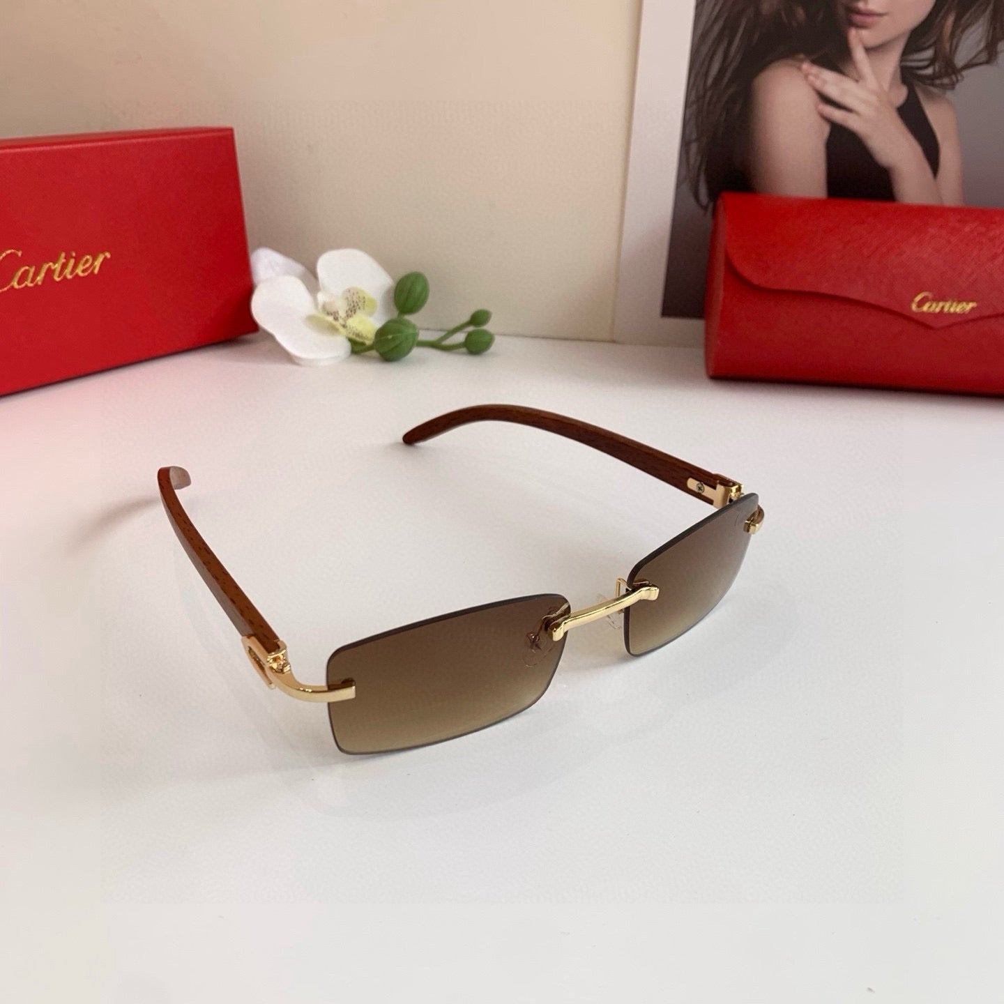 cartier ct0012rs