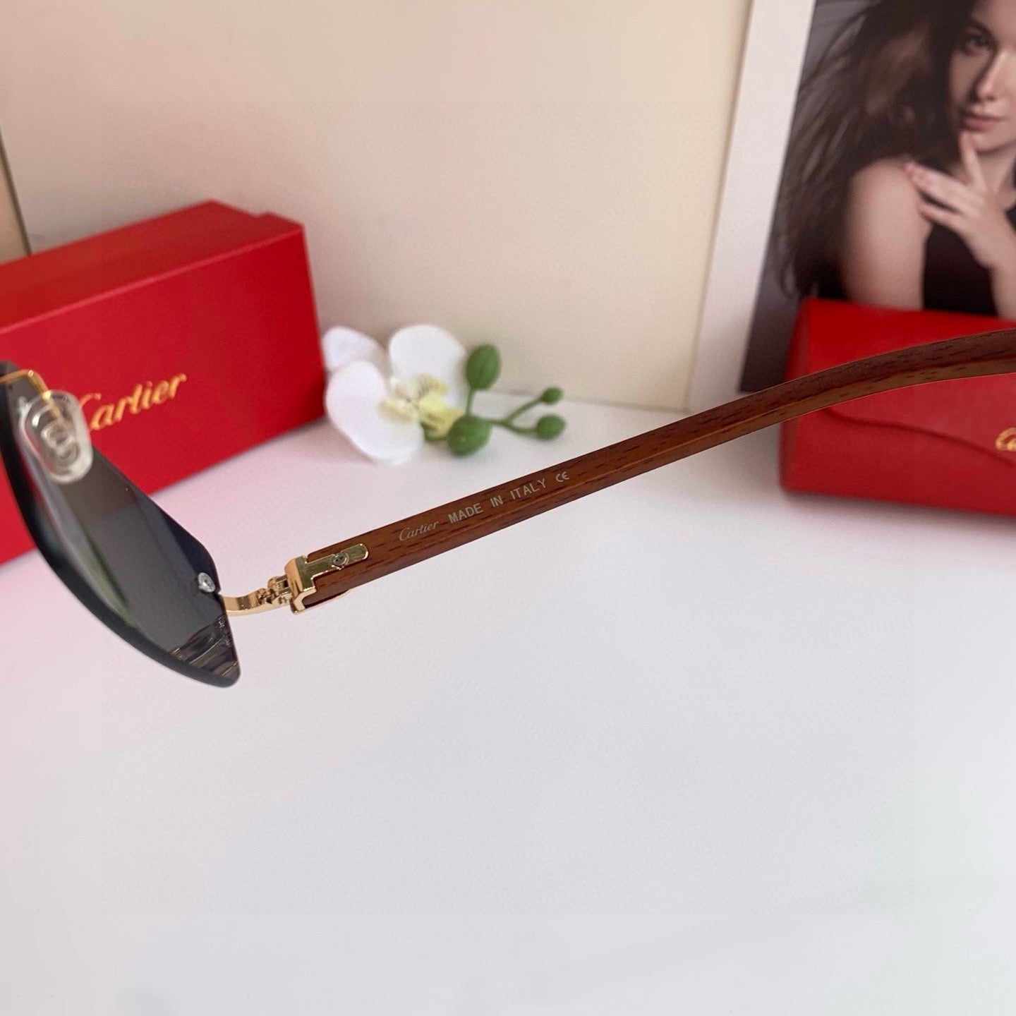 cartier ct0012rs
