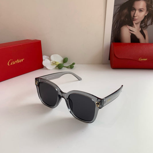 cartier CT0143S