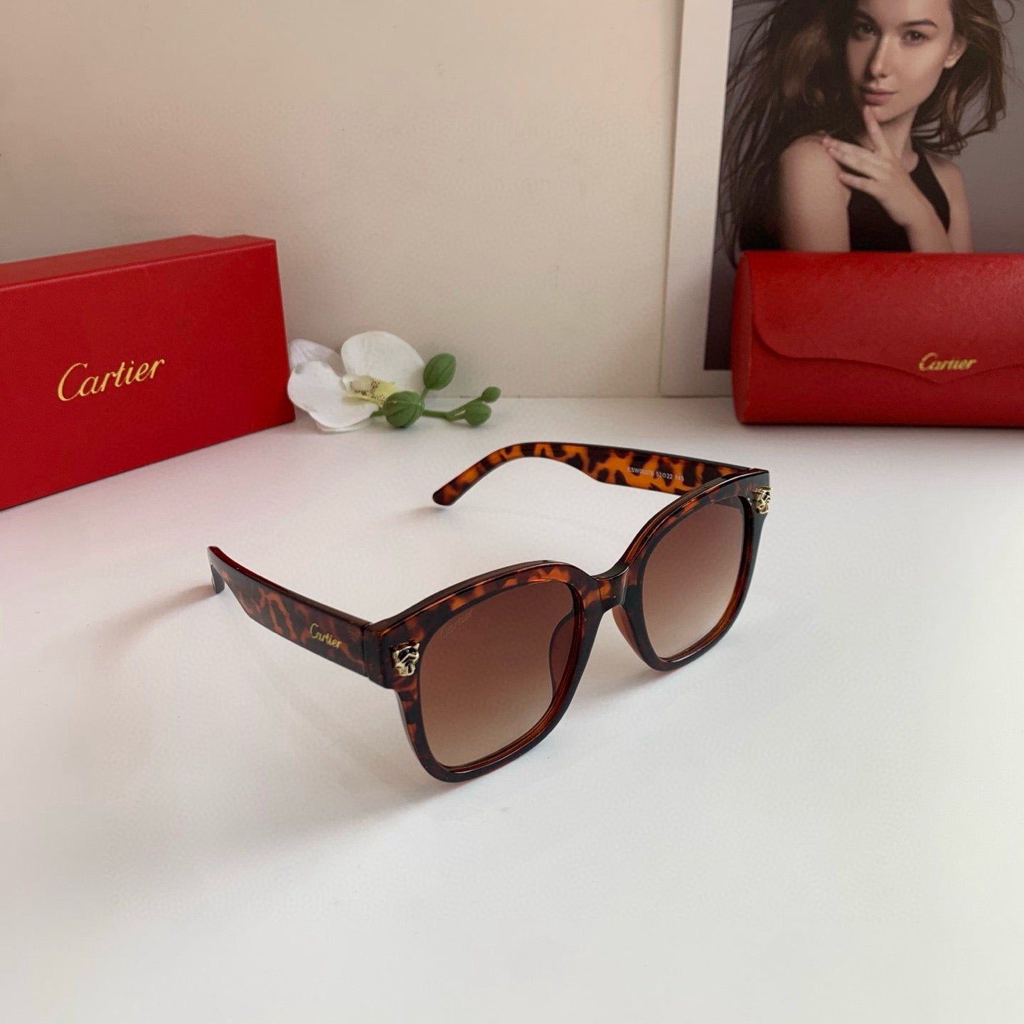 CARTIER CT0143S